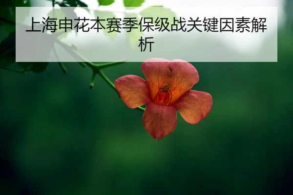 shang-hai-shen-hua-ben-sai-ji-bao-ji-zhan-guan-jian-yin-su-jie-xi-2-397.jpg